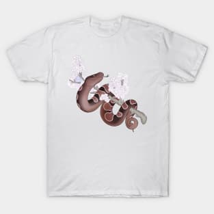 White Sakura Ball Python: Brown T-Shirt